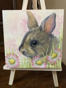 Critter Squares - Baby Bunny CP e-Packet